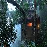 Vanya Tree House