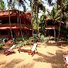 Wild Palms on Sea Homestay 