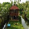 Vinis Farm
