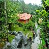 Wayanad Wind Resort