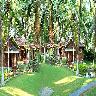 Kairali - The Ayurvedic Healing Village