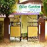 Olive Garden Home Stay