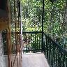 Lonely Stay Plantation Resort